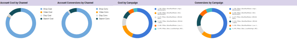 Google Ads Audit PMax-Skript