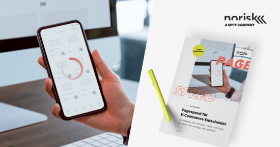 norisk Group – Pagespeed für E-Commerce Entscheider